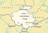 visit - Almas 
gallery