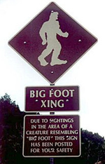 visit - Bigfoot gallery