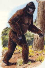 visit - Bigfoot gallery