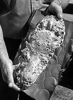 visit - Fouke Monster gallery