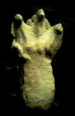 visit - Honey Island Swamp Monster gallery