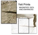 visit - Yeti gallery