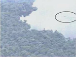 visit - Mokele-Mbembe gallery