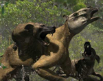 visit - Nandi Bear gallery