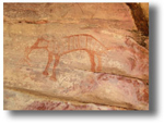 visit - Thylacine gallery