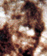 bigfoot
