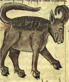 bonnacon