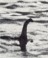 loch ness monster