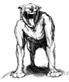 nandi bear