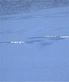ogopogo